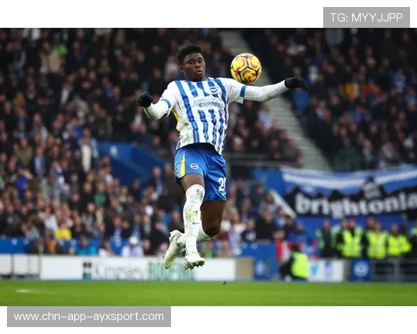 布莱顿签约新任左路冲击者