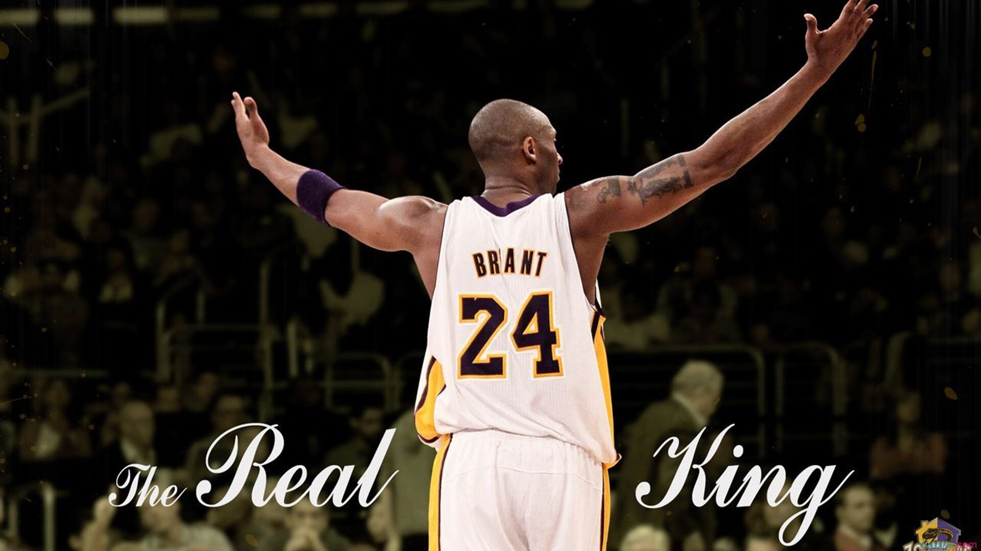 EDG发布职业选手心理健康支持指南,lol职业选手心态