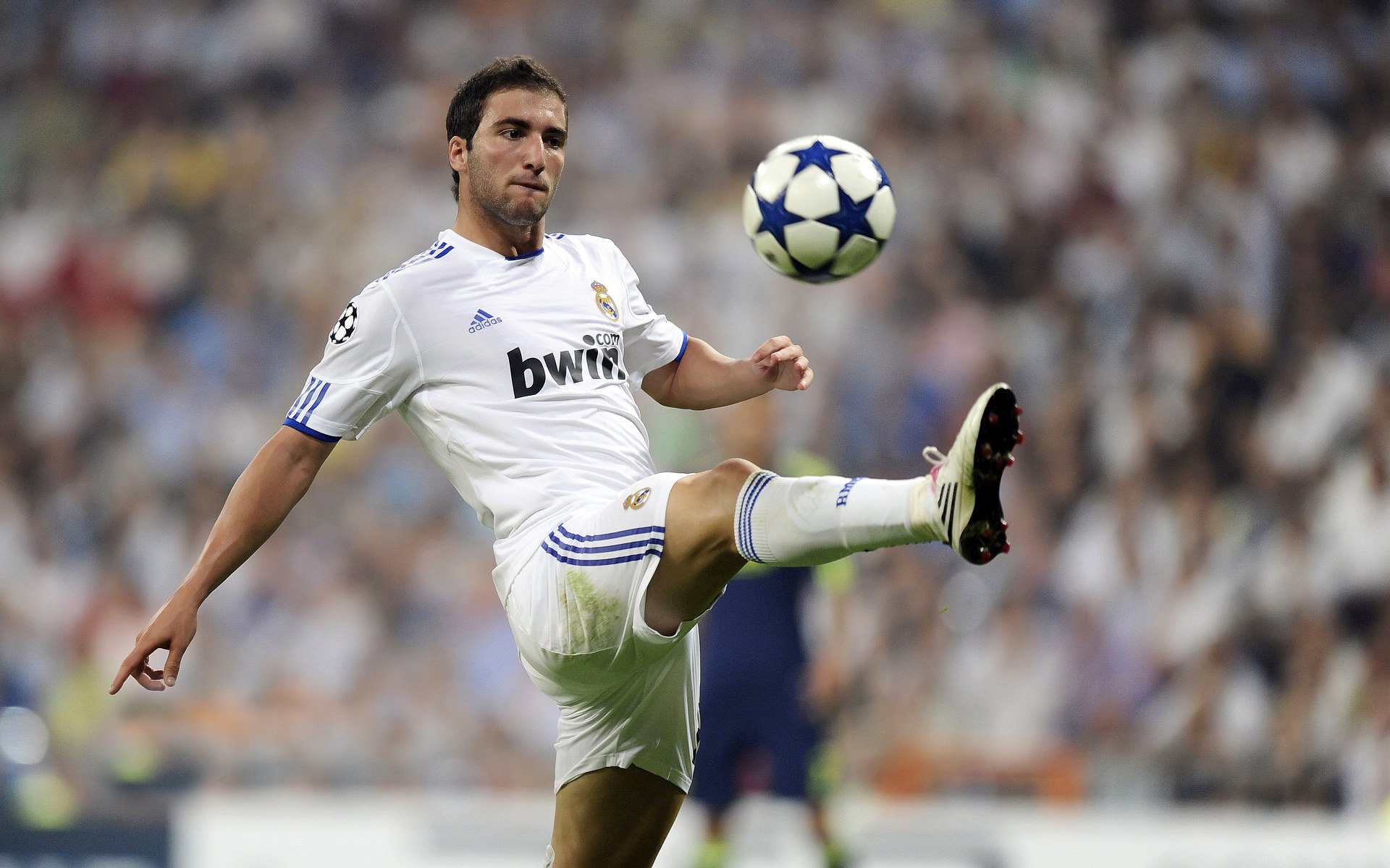 “未来之星：全国青少年足球冠军争霸赛圆满闭幕”，世界足球未来之星